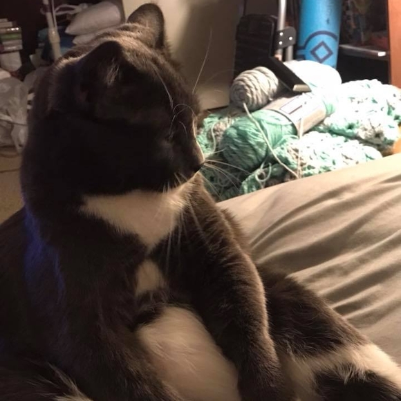 Meet your Posher, Allison - Picture 1 of 1